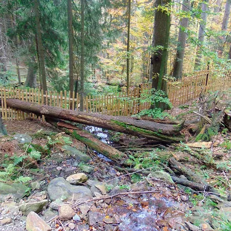 אתר קמפינג Retro Pod Boubinem Horní Vltavice