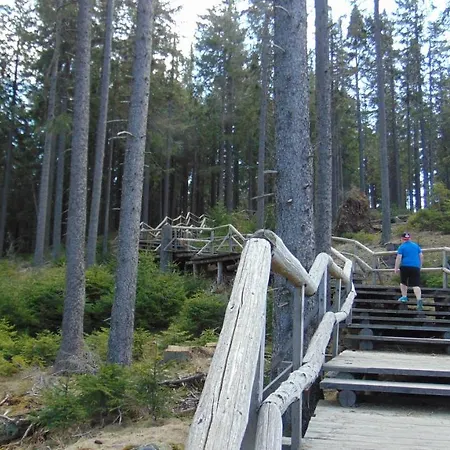 Retro Pod Boubinem Camping Horní Vltavice